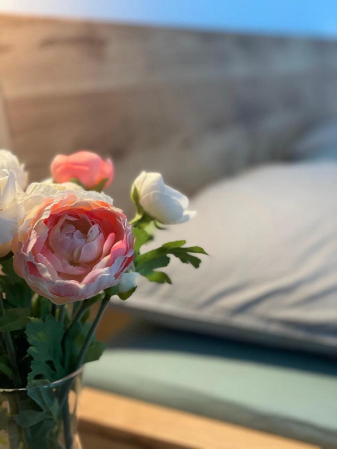 Apartman Plesivec U Sjezdovky อาเบอร์ตามี ภายนอก รูปภาพ
